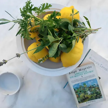 Dom wakacyjny Anticlea I