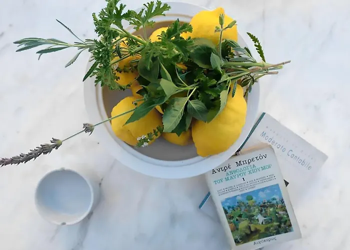 Semesterbostad Anticlea I