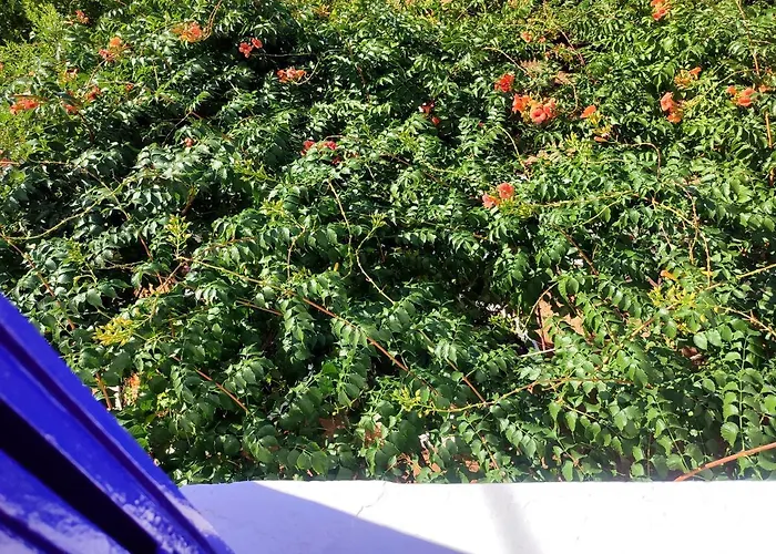 Semesterbostad Anticlea I